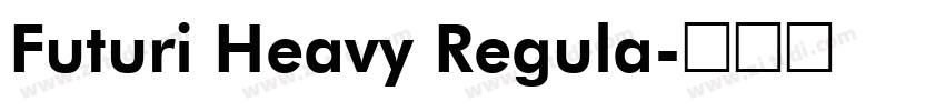 Futuri Heavy Regula字体转换